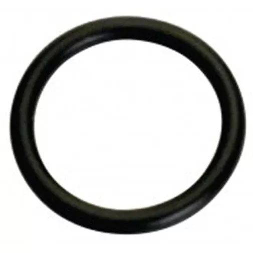 Champion 7/8In I.D. X 1/8In Imperial O-Ring -5Pk
