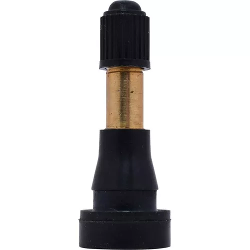 E-600-D Snap-In Tire Valve (100 pack)